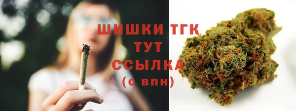 гидра Няндома
