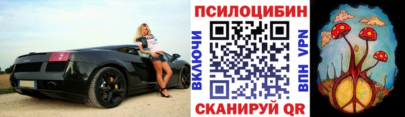 Псилоцибиновые грибы GOLDEN TEACHER  Гурьевск 